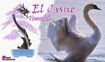 El cisne Tanuki