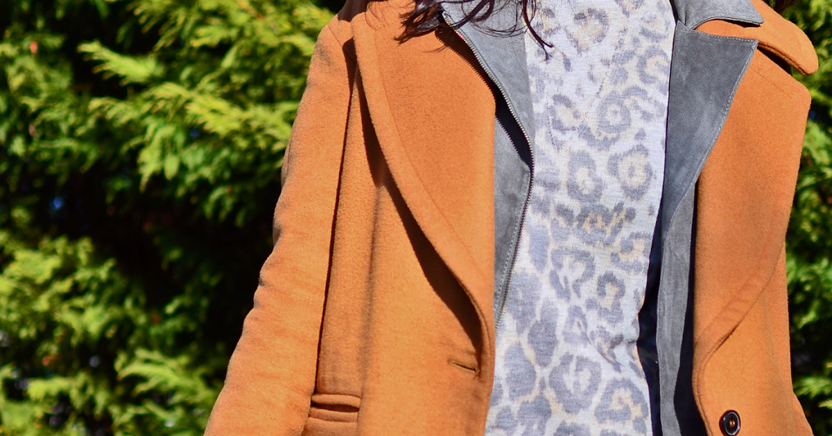 Double Collar MY SMALL WARDROBE