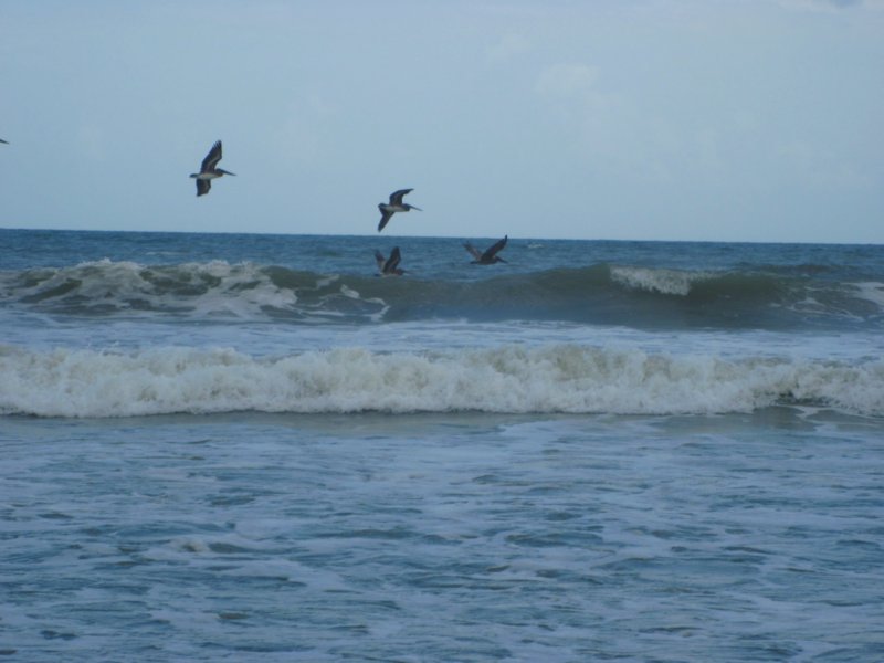 Is it raining in daytona beach