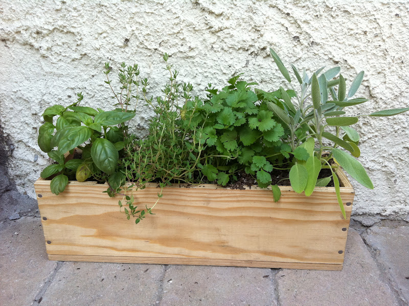 Garden In A Box Garden In A Box