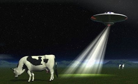 Cow Ufo