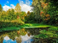 Инвестиции в ПАММ-счета. Итоги 116-й недели инвестирования