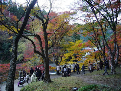 愛知県・香嵐渓の紅葉