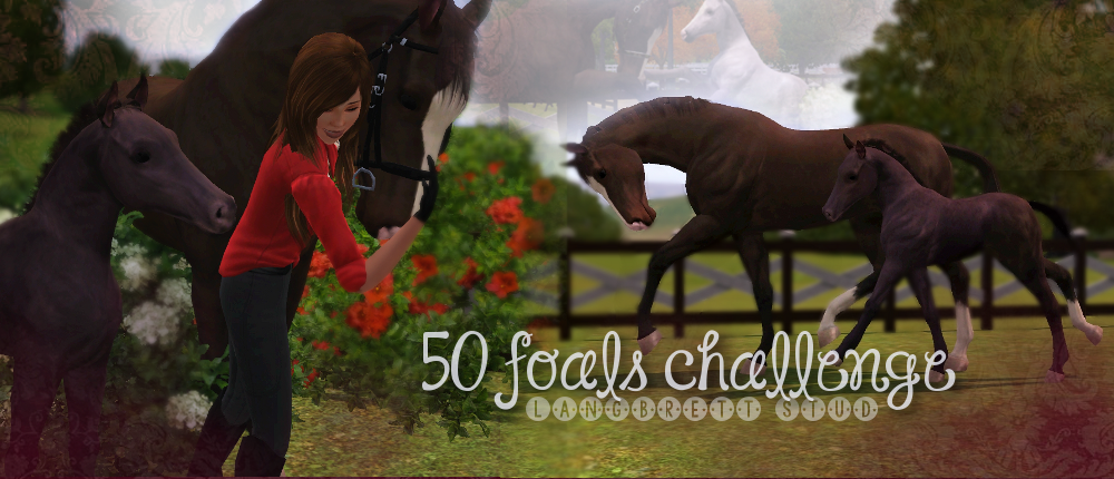 Langbrett Stud - 50 foals challenge