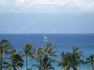 Sunning in Hawaii