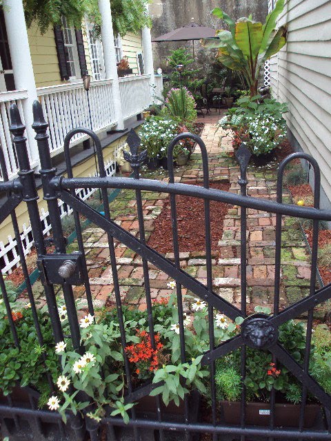 A Heart S Desire Charleston Gardens