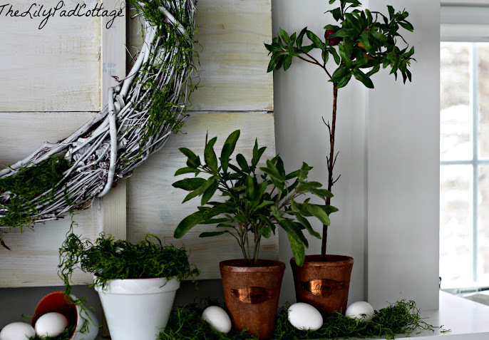 #3 Indoor Plant Decoration Ideas