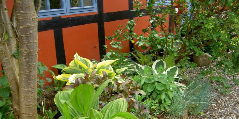 Havefolket: august 2012