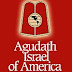 New Focus on Agudath Israel's Child Sex Abuse Stance!