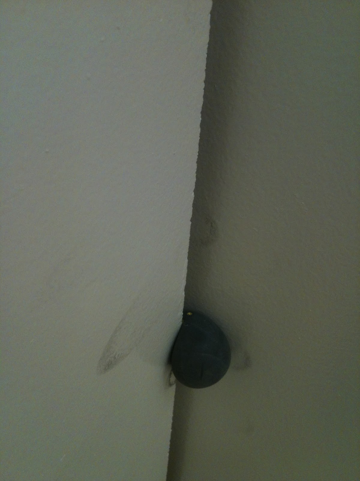 BIG BAW SQUASH New squash courts at Scotstoun, Glasgow. (First 3 of 7