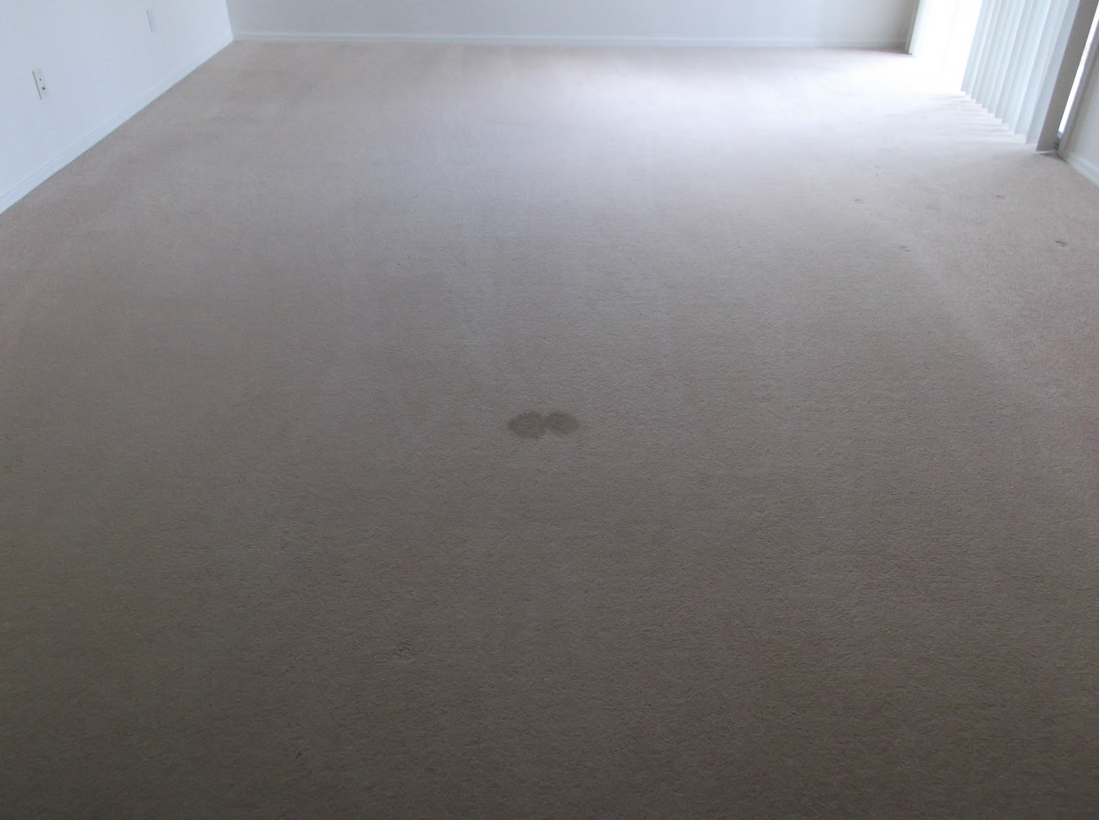 Prescott Carpet and Tile Cleaning Experts More fine carpet cleaning
