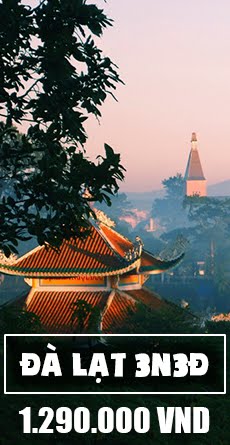 Tour Đà Lạt Hoa và Nắng