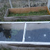 Cold Frames, Chicks and Nick