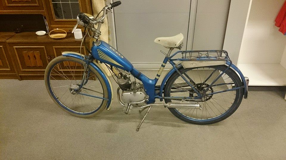 Bild