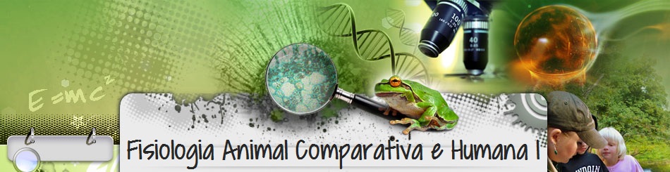 Fisiologia Animal Comparativa e Humana I 