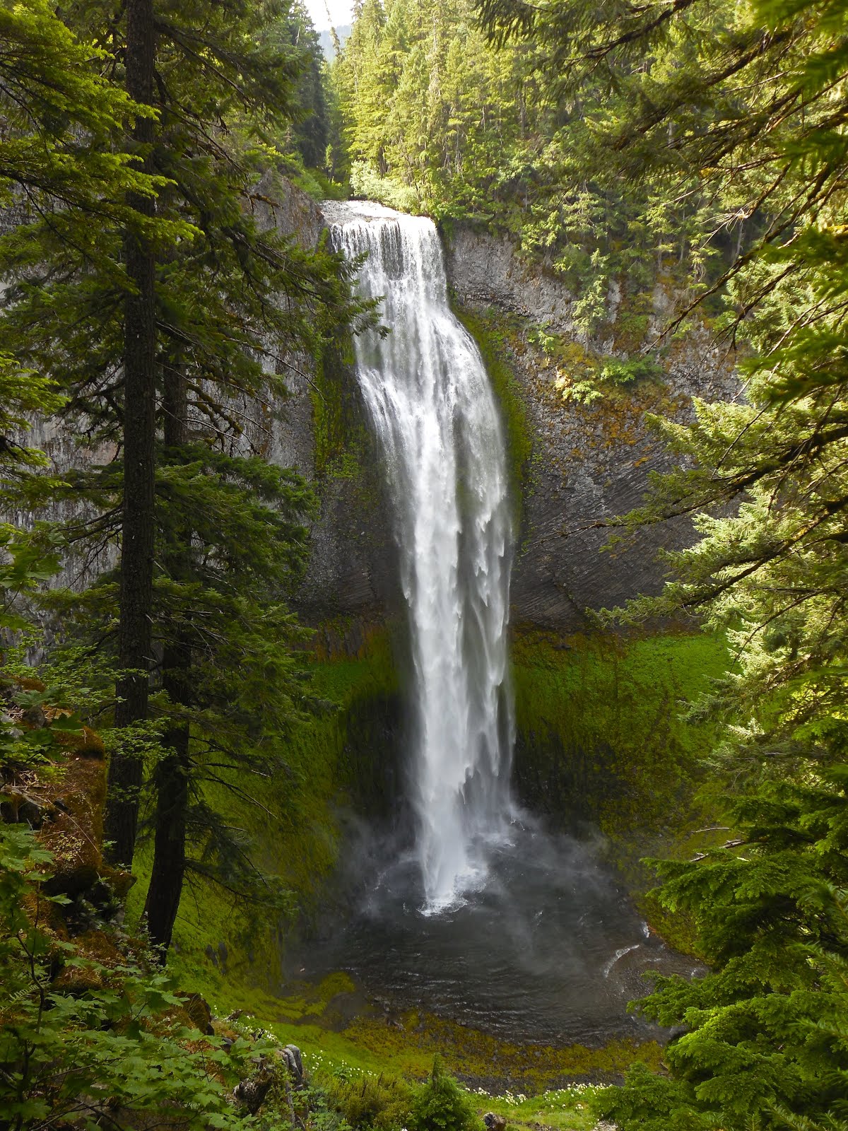 WESTERN OREGON