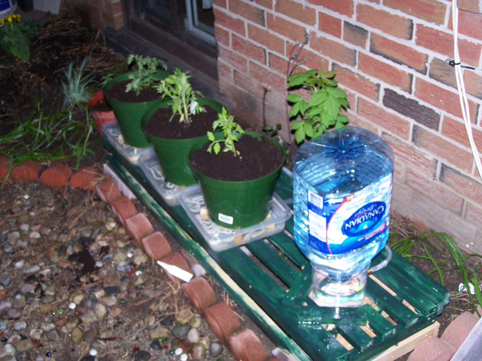 Simple automatic watering system Simple automatic watering system