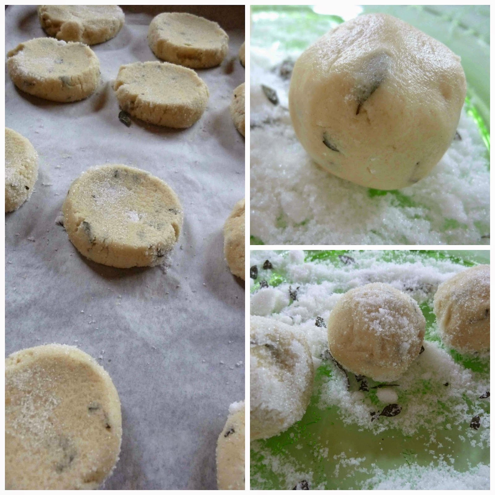 Spicy Oregano Soft Sugar Cookies Diary of a Mad Hausfrau