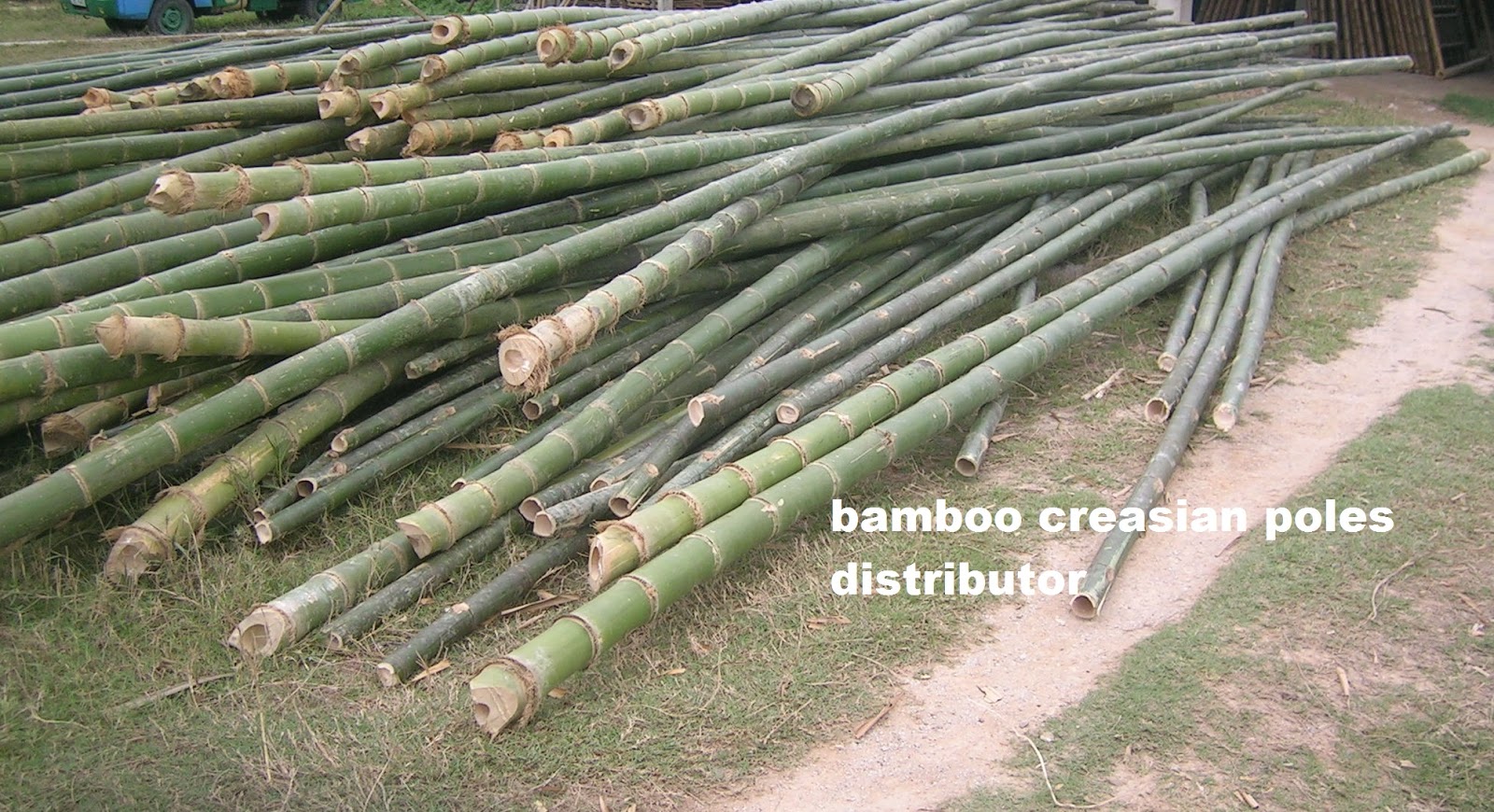 Quality Bamboo and Asian Thatch Bamboo Polesbamboo sticksbamboo cane