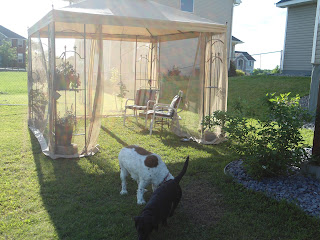 ThriftingWithCake: June 2012