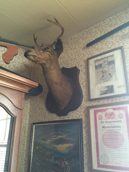 Deerhead from the hunt of my father's in 1962 ~