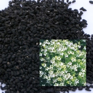 Jintan Hitam, Rempah 1000 Manfaat