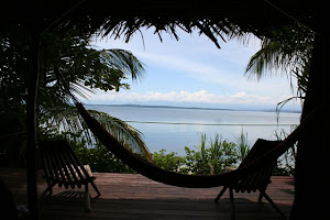 Daydreaming about Bocas