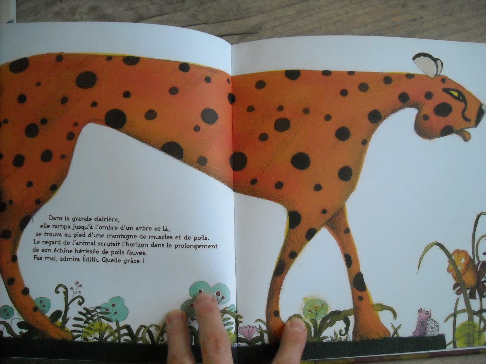 recherche une annonce de rencontre drole et originale