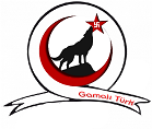 Türk Tarihi - Türkçü Makale ve Deneme Yazıları - Güncel Yazılar - Gamalı Haç ve Türkler