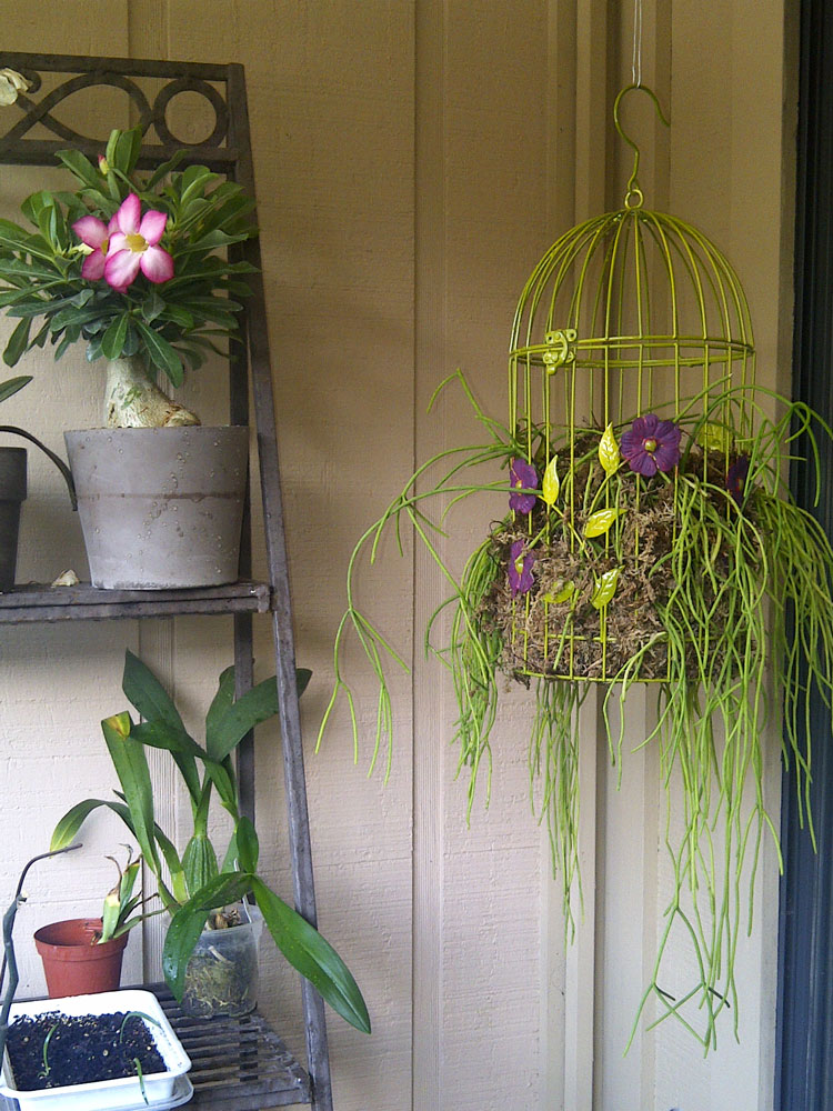 Cage or not cage, that is the question How to make a floral arrangement  in a cage. 
