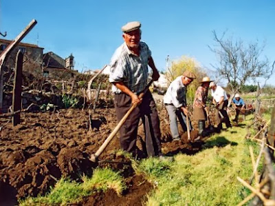 [Imagem: agricultura_trabalhadores.jpg]