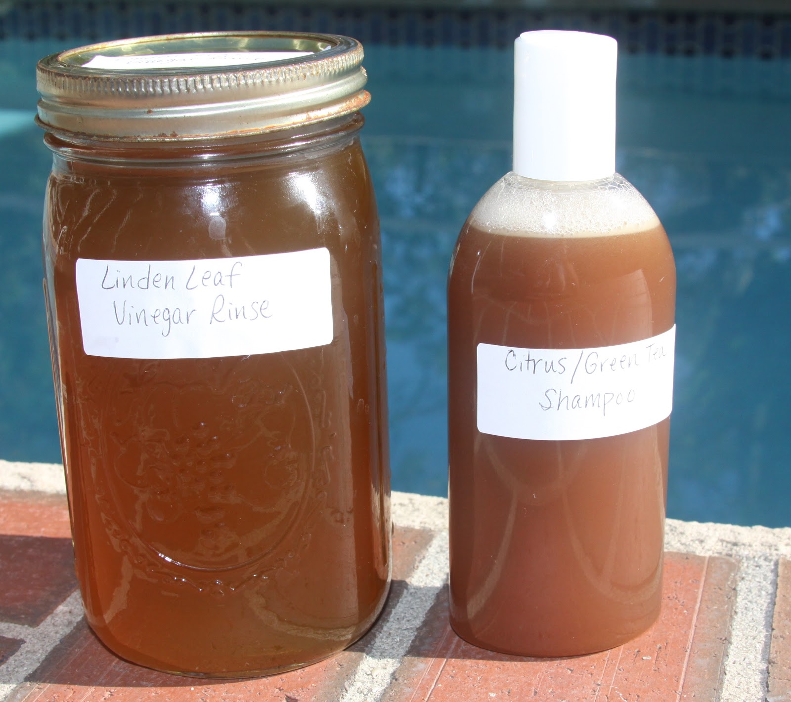 The Homemade Housewife Homemade Shampoo and Conditioning Rinse