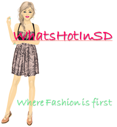 WhatsHotInSD Logo