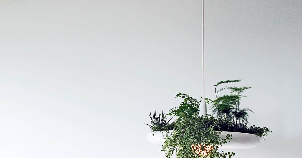 The Hip Subscription Babylon Plantable Light Fixture by Ryan Taylor