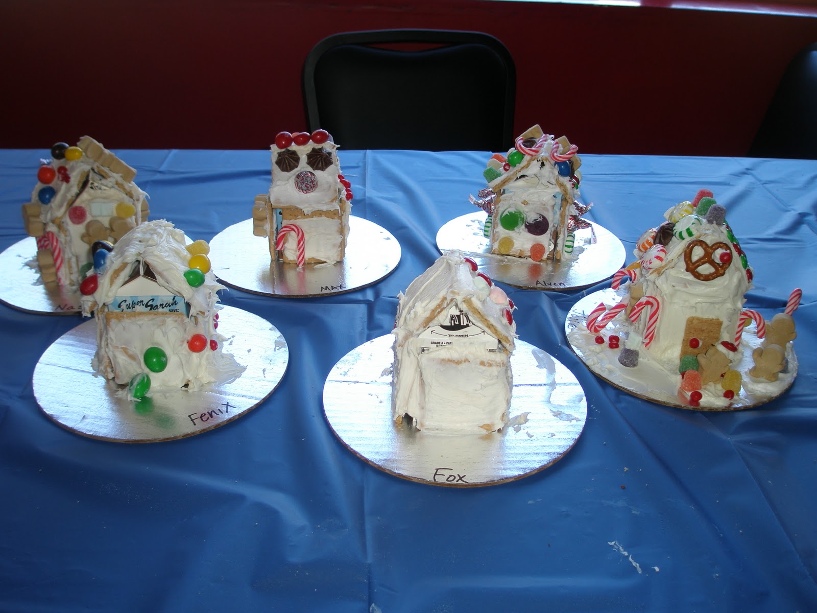 Buffalo Digestive System