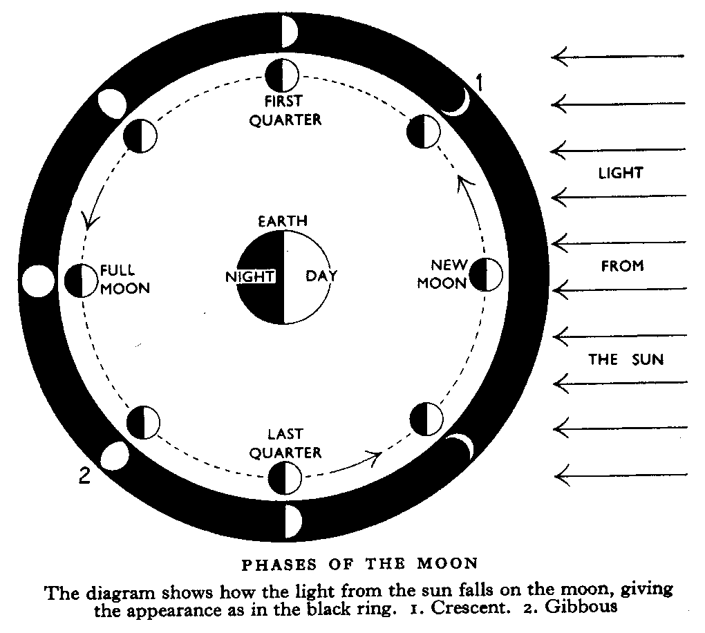 TALES OF THE OAK Nigeria Why The Moon Waxes and Wanes