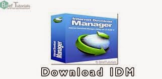 IDM Internet Download Manager 6.21 Build 3 Crack Download