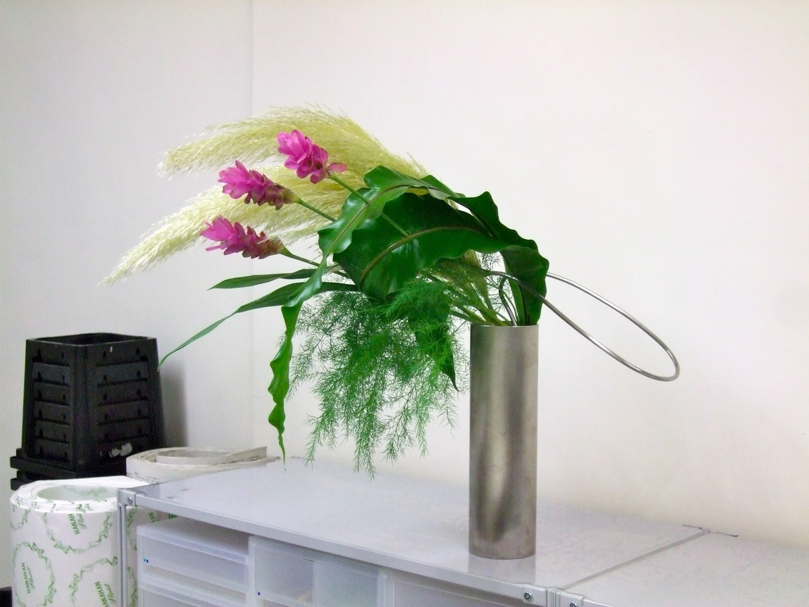 ちぃ道場 なんたって好日 自由花 パンパスグラス たにわたり アスパラガス ミリオンペラ クルクマ