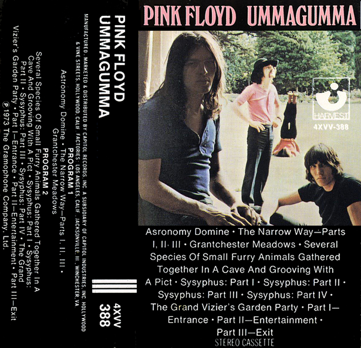 Cassette Cover Art Library Pink, Pink, and more Pink (Floyd)