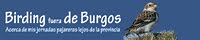 Birding fuera de Burgos