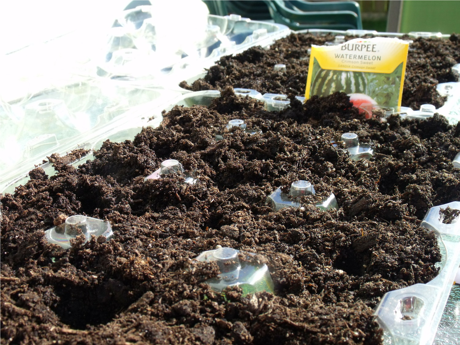 Clever, Crafty, Cookin' Mama Recycled Costco Planters