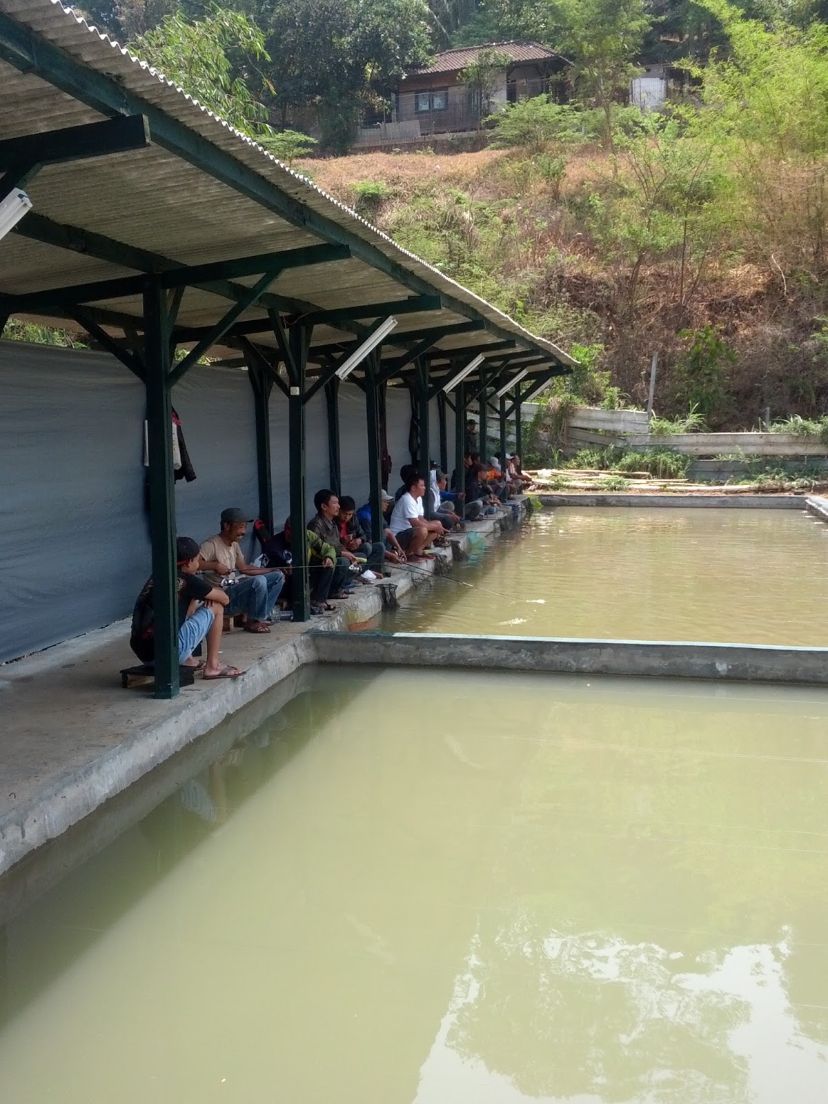 Kolam Pancing Vila Elok