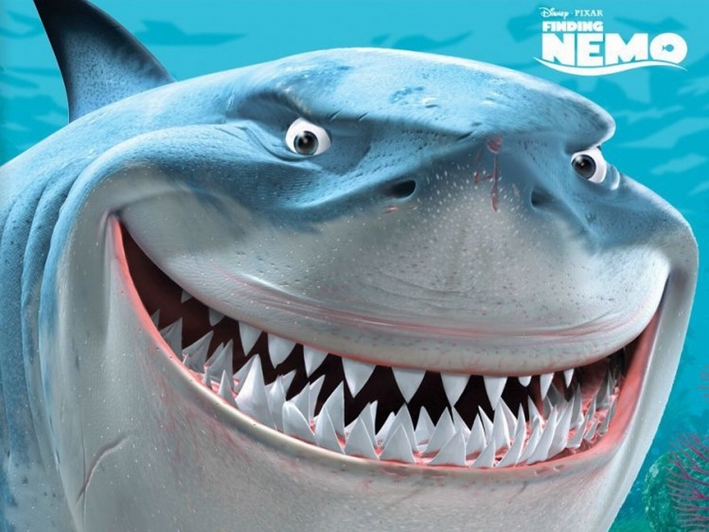 http://2.bp.blogspot.com/-Pjso0d2ounA/TrqIVe9kr6I/AAAAAAAABOQ/0wwgI-lRDEA/s1600/Finding-Nemo-Bruce-the-Shark-Wallpaper-finding-nemo-6615914-1024-768.jpg