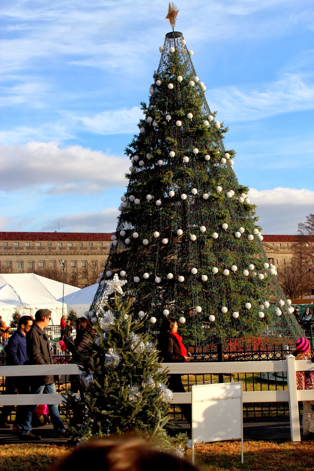 Here and There The National Christmas Tree