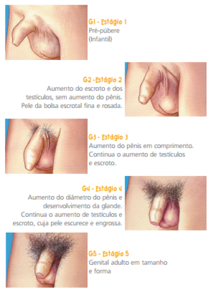 Bainhas depois de operação em aumento em um peito