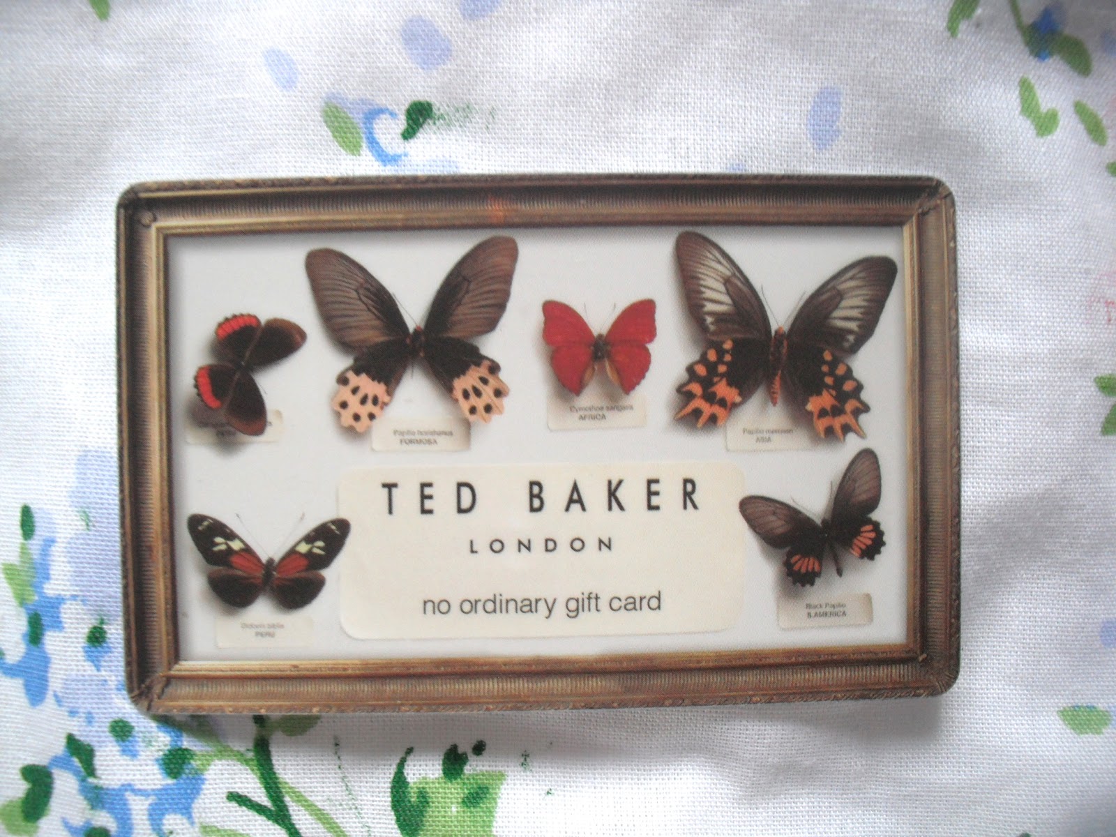 Recent Competition Wins £250 Ted Baker + £100 TK Maxx.. ♥ Victoria