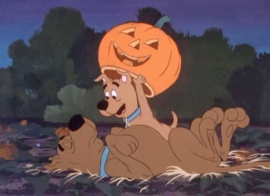 Vampire Bats And Scaredy Cats Dvd