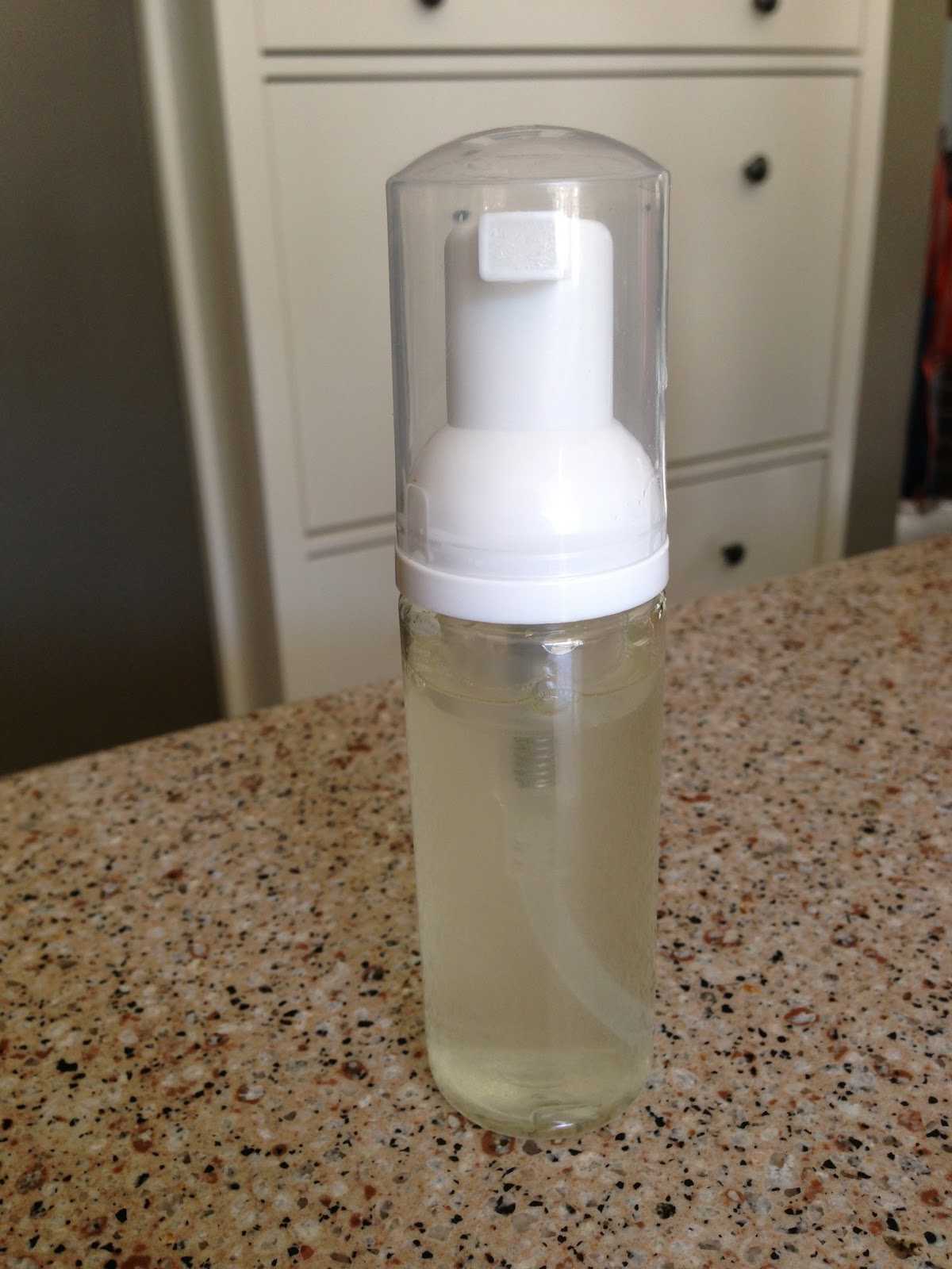 Purely Essential Recipes DIY Protective Blend Foaming Hand Sanitizer