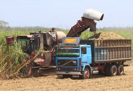 Todo sobre el azucar en bolivia: octubre 2013 Quintal diseño cerca