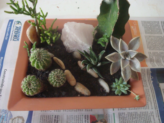 enfeites para mini jardim:Depois vou plantando, procurando deixar tudo com uma certa harmonia. enfeites para mini jardim:Depois vou plantando, procurando deixar tudo com uma certa harmonia.